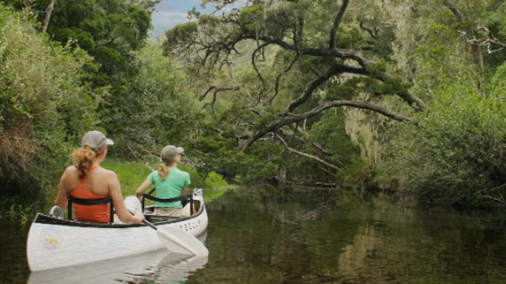 Canoeing In Tranquil Waters